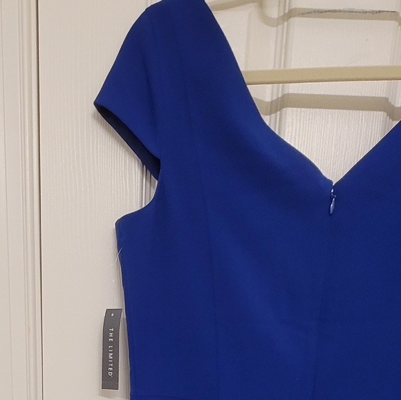 NWT V-Neck Dress by The Limited, Size 4P - Picture 5 of 8